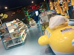 -沙沙哗啦海洋馆(华宇百花谷店)