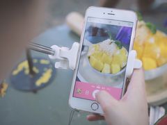 -莓园冰淇淋店