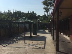 -长兴岛郊野公园农场食堂