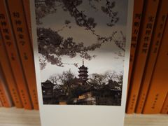 -先锋书店(五台山总店)