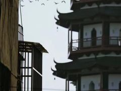 -绳金塔