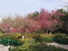 -乌山风景区