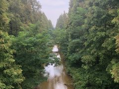 -黄海国家森林公园