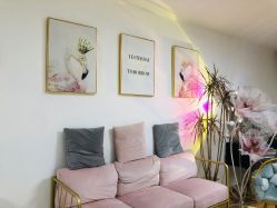 -美肤盾祛痘·问题肌头疗管理中心