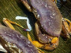 -宁海食府·涌宴(真和店)