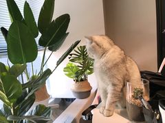 -Oasis绿洲银饰珍珠手作diy(壹方城店)