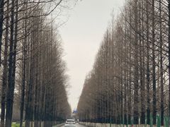 -小鱼草莓采摘园农家乐·小鱼餐厅