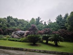 -后襄河公园