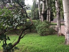 -仁和公园(顺义区)
