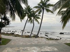 -日落吧·海景咖啡厅·餐酒吧·鸡尾酒·下午茶·乐队表演·浪漫夕阳·三亚文华东方酒店