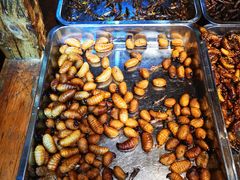 -昆虫窝子·特色云南菜(拓东路总店)
