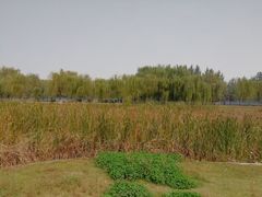 -沙澧河风景区