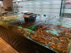 水产区-海蓝海鲜馆(五四北店)