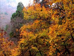 -北京上方山国家森林公园