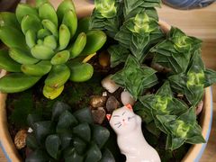 -妃比花艺(光启城时尚购物中心店)
