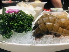 -海底捞火锅(海宁路店)