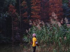 -云溪植物园