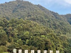 -芦茨金富饭庄·25年老字号·专做稻草鸡