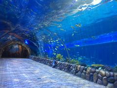 -华夏文旅海洋公园