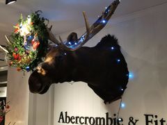 -Abercrombie & Fitch(三里屯太古里店)