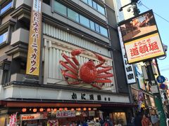 -蟹道乐(道顿堀本店)