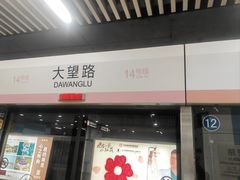 -大望路(地铁站)