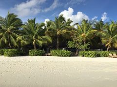 -中央格兰德岛温泉度假酒店 - 全包