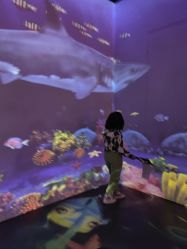 -小鸡哆哆故事屋·儿童乐园(嘉里城店)