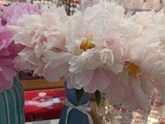 -山东嘉汇文化用品有限公司张店凤凰国际分公司(新村西路店)