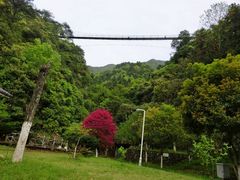 -遂昌金矿国家矿山公园