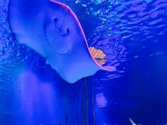 -沈阳海洋探索中心