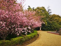 -上海市浦东新区浦东殡仪馆