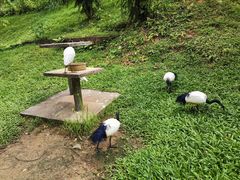 -吉隆坡雀鸟公园
