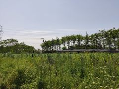 -金稼园·金平湖农家菜