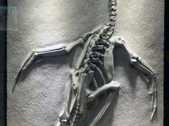 -重庆欢乐海底世界
