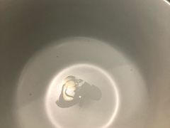 -东椰·海南椰子鸡火锅(朝阳门店)