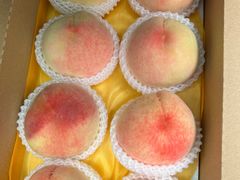 -老袁家蜜桃农场·阳山水蜜桃