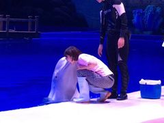 -华夏文旅海洋公园