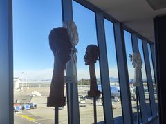 -米兰-马尔彭萨机场