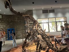 -自贡恐龙博物馆