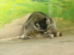 -大连圣亚海洋世界