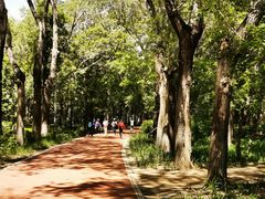 -长春市南湖公园