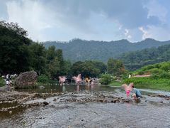 -广州市石门国家森林公园