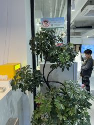 -LJOY丽锦造型·烫发染发