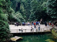 -鼎湖山风景区