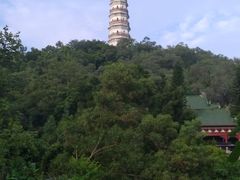 -榴花公园