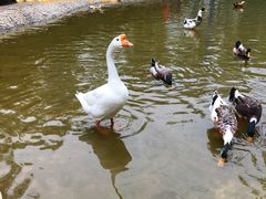 -森林公园(尖草坪区)