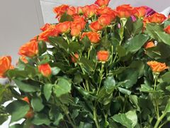 -THE hood开新里(御桥路店)