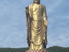 -中原大佛景区
