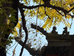 -大觉寺-停车场